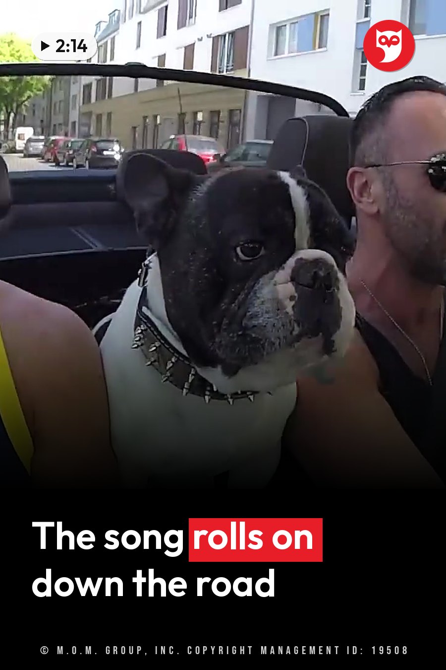 A black-and-white dog in a spiked collar sits in a car beside a man wearing sunglasses. A headline runs in white letters across the lower third.