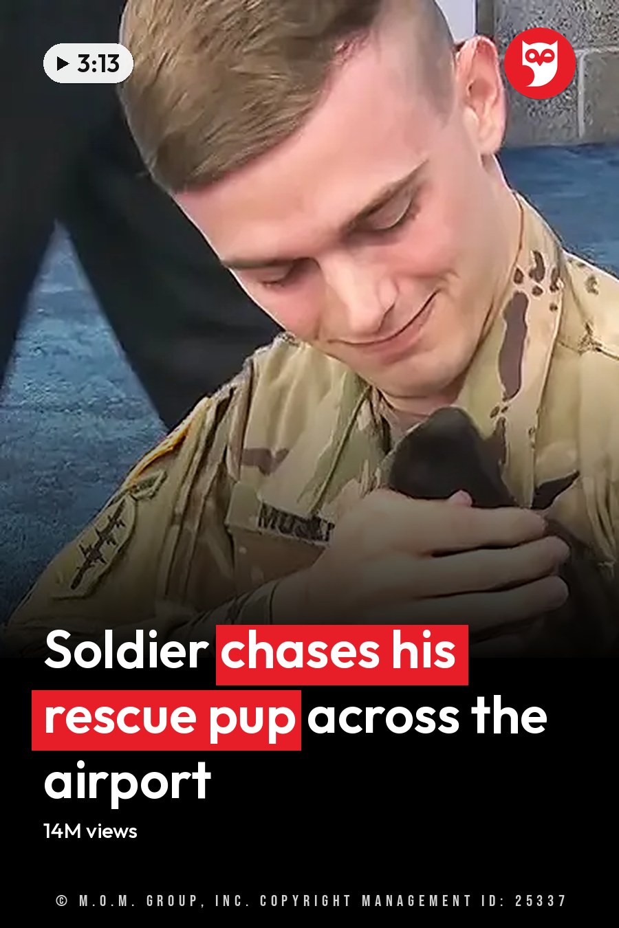 Young adult male soldier in a military uniform holding a small German Shepherd mix puppy indoors, possibly at an airport or event hall. The headline runs in white letters across the lower third.