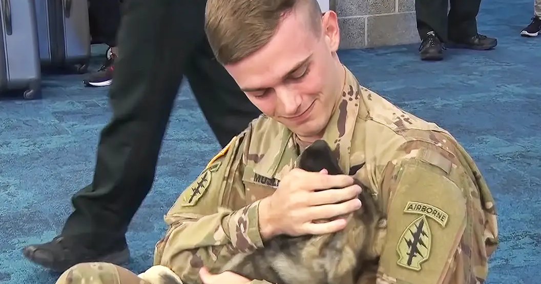Young adult male soldier in a military uniform holding a small German Shepherd mix puppy indoors, possibly at an airport or event hall.