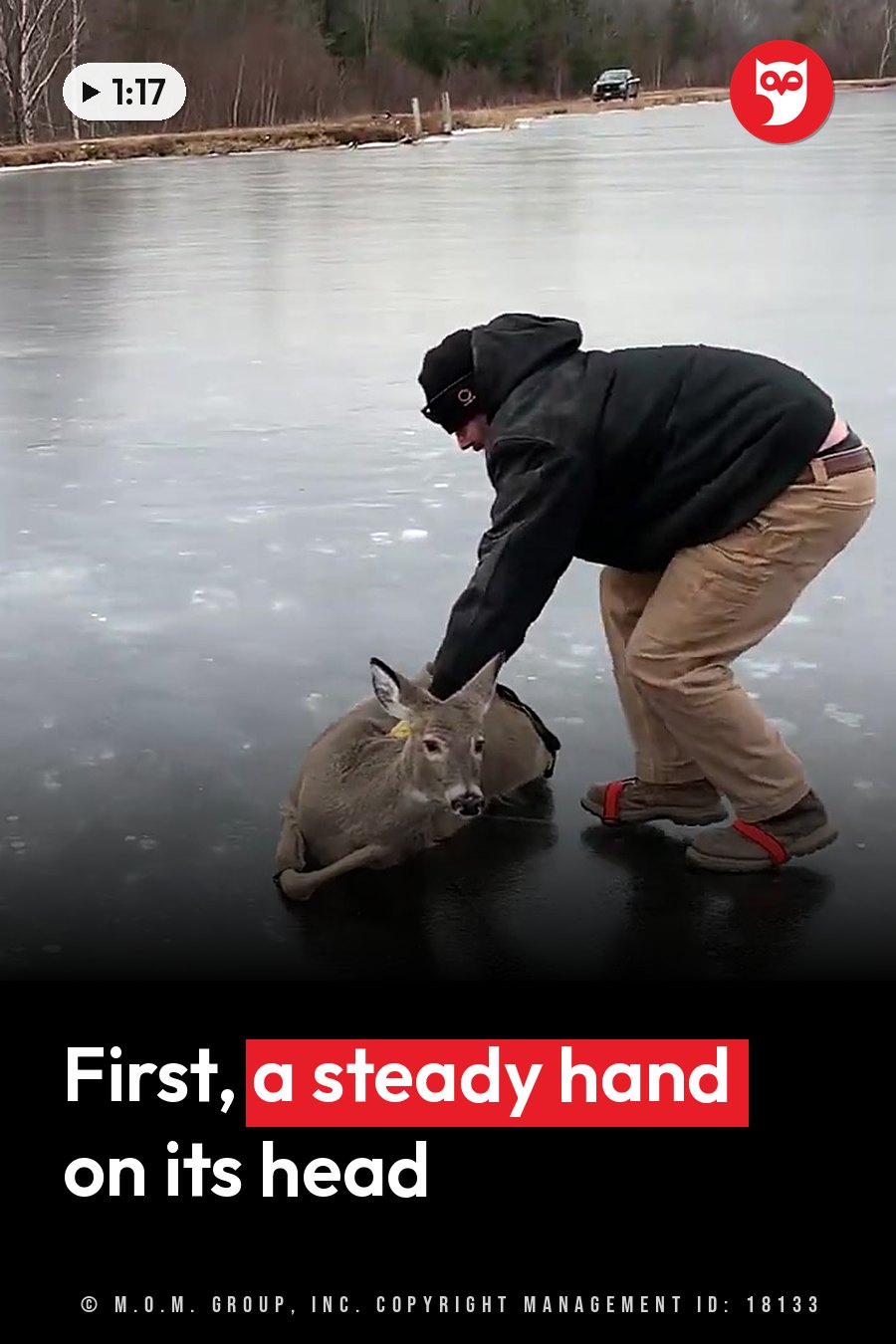 A man in winter clothes bends over a deer lying on frozen water and touches its head with one hand. A headline runs in white letters across the lower third.