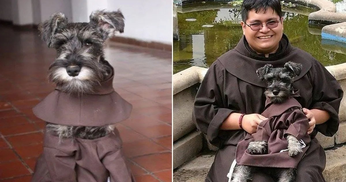A small dog in a monk's robe sits beside a person also dressed as a monk near a pond.