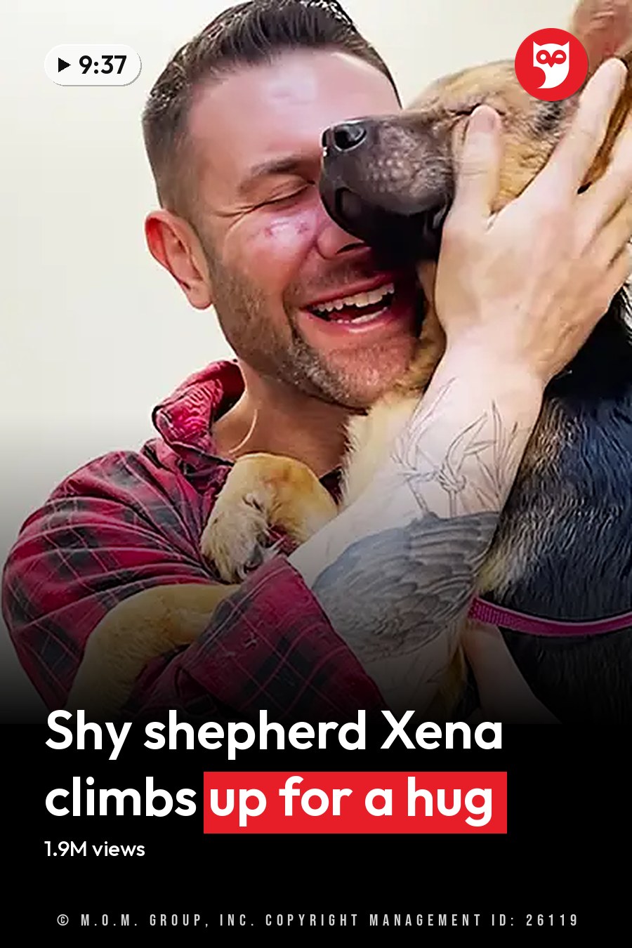 A German Shepherd puppy, likely a young adult, with distinctive coat coloration and pointed ears, held by an adult male in a home setting. The scene is brightly lit, suggesting daytime. The headline runs in white letters across the lower third.