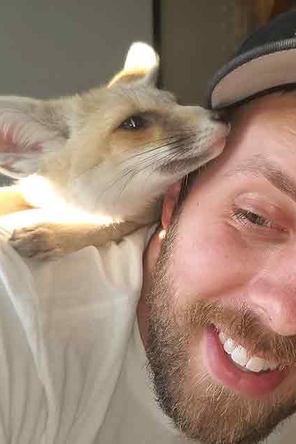 An adult male interacts with a fennec fox indoors, wearing a white long-sleeved shirt and a black cap.