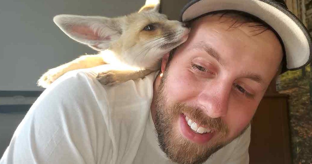An adult male interacts with a fennec fox indoors, wearing a white long-sleeved shirt and a black cap.