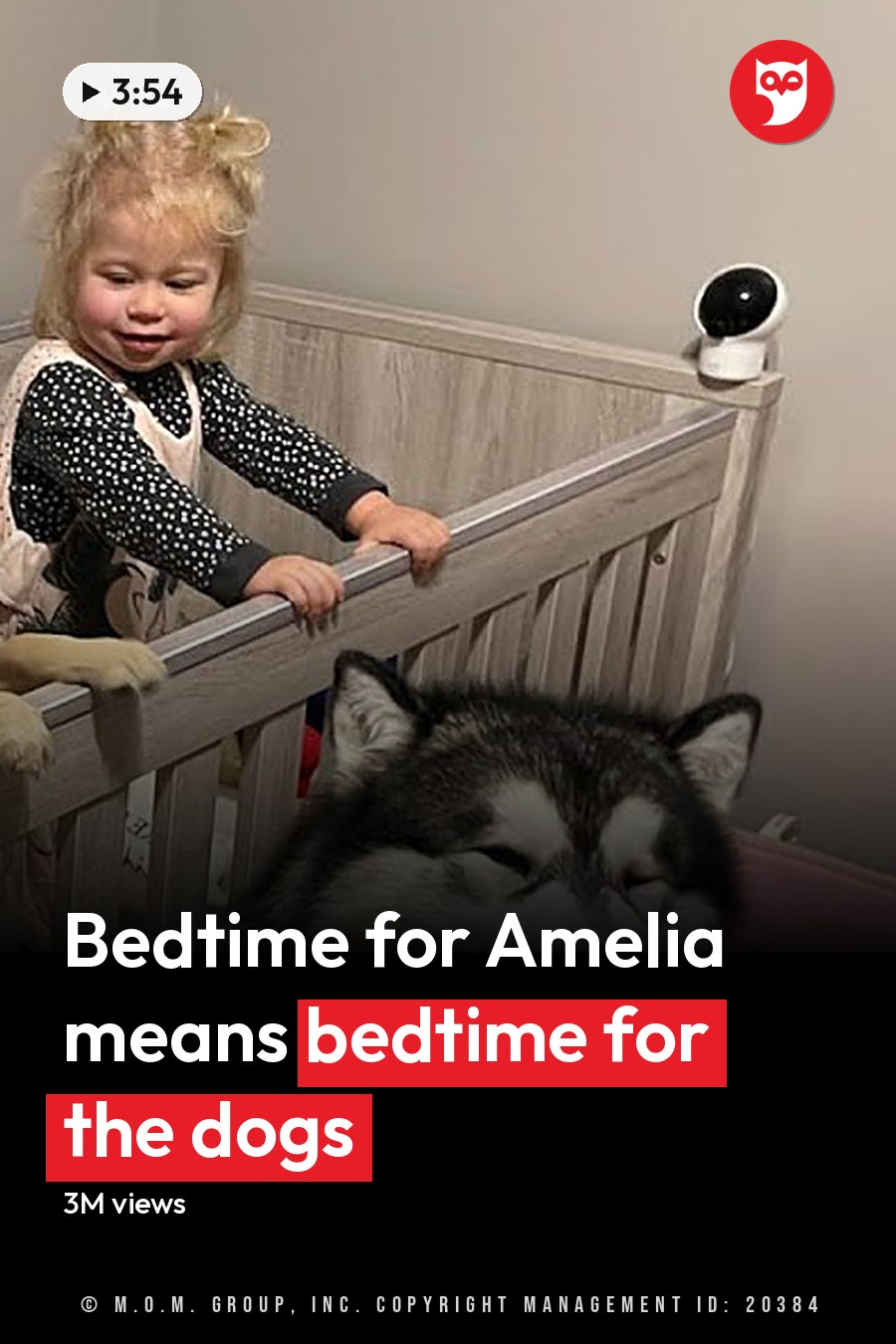 A toddler in a crib surrounded by dogs and furniture, indoors with neutral walls and dim lighting suggesting evening or night. The headline runs in white letters across the lower third.