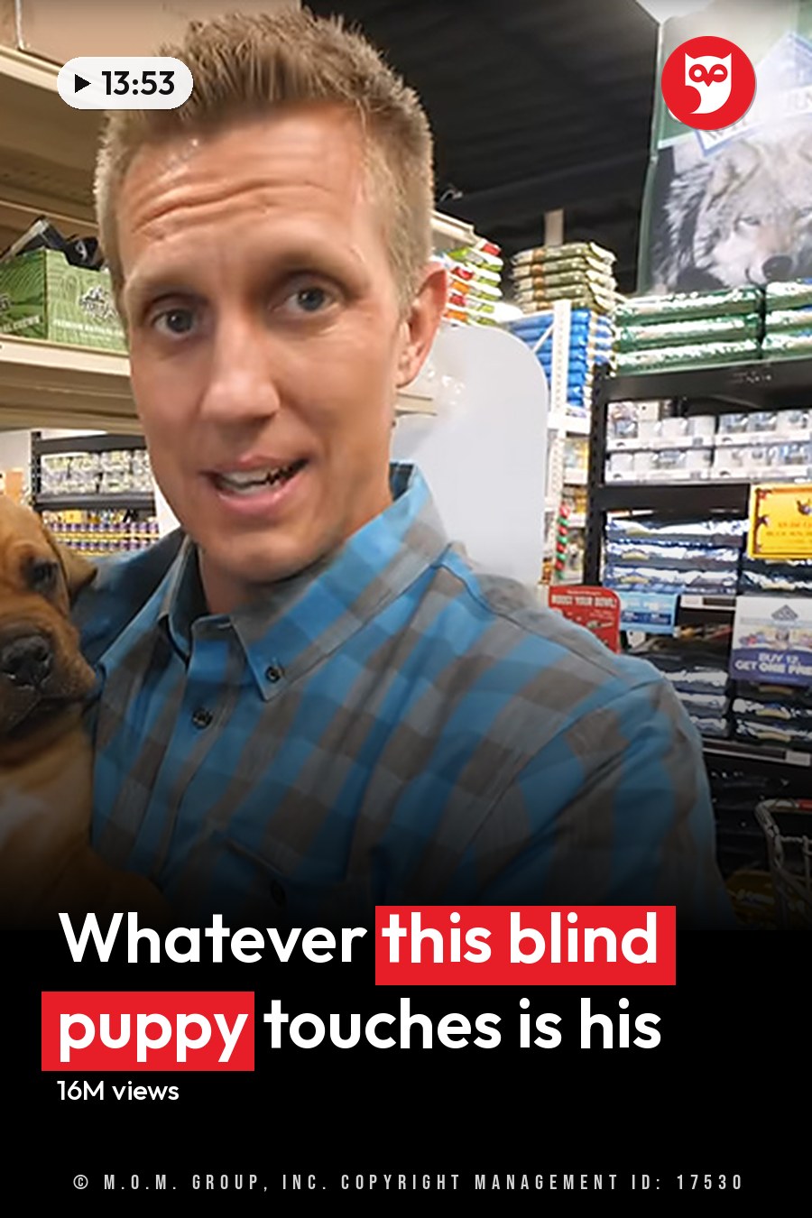Adult male wearing a blue and gray plaid button-down shirt in a pet store holding a young adult Bloodhound puppy with light brown fur and white chest markings, surrounded by shelves of pet products under even indoor lighting. The headline runs in white letters across the lower third.