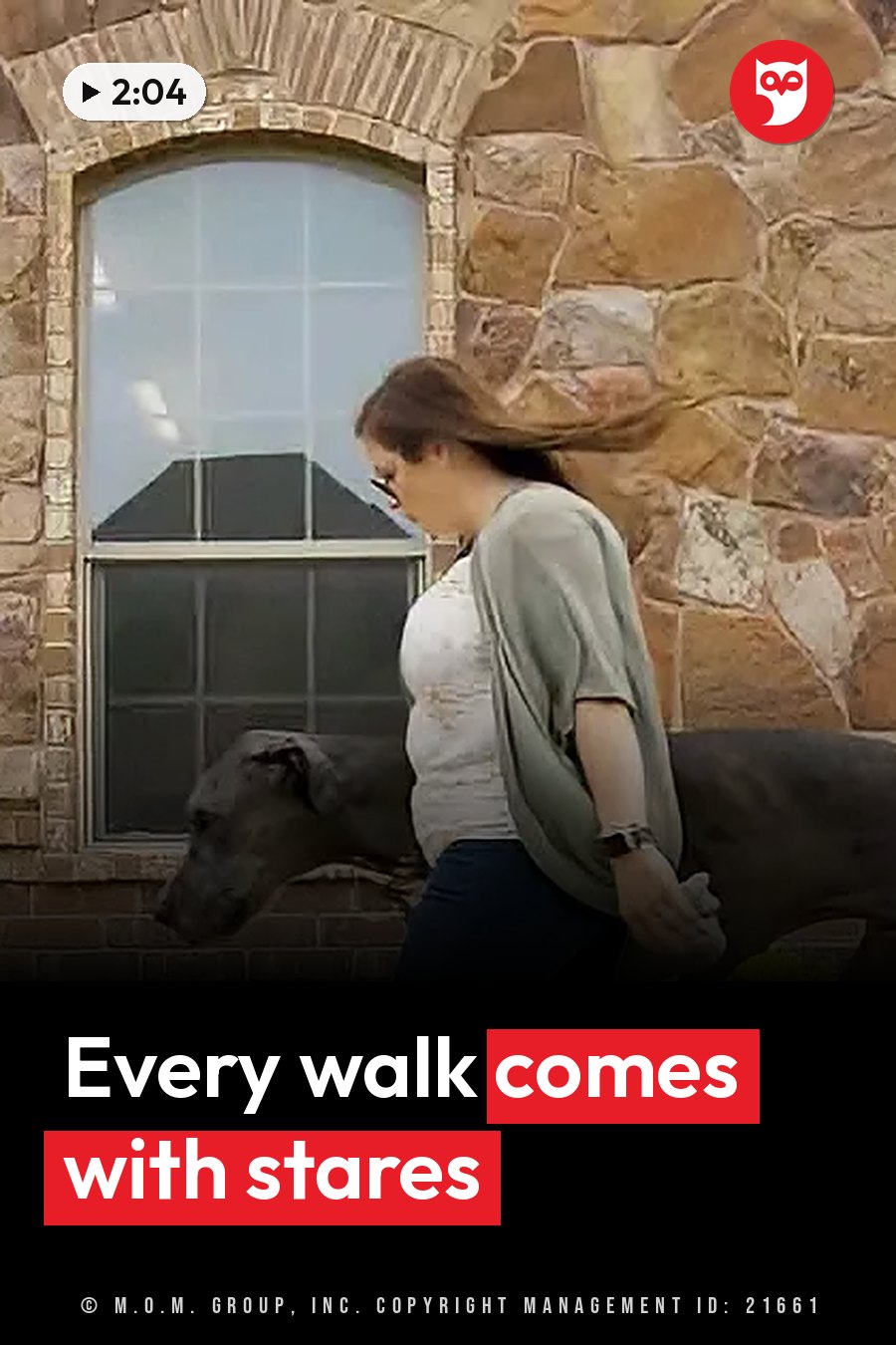 A woman walks beside a large gray Great Dane past a stone building with an arched window. A headline runs in white letters across the lower third.