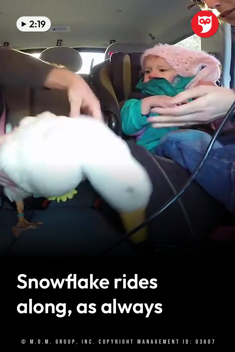 A child sits in a car seat while an adult holds her, and a duck stands beside her on the seat. A headline runs in white letters across the lower third.