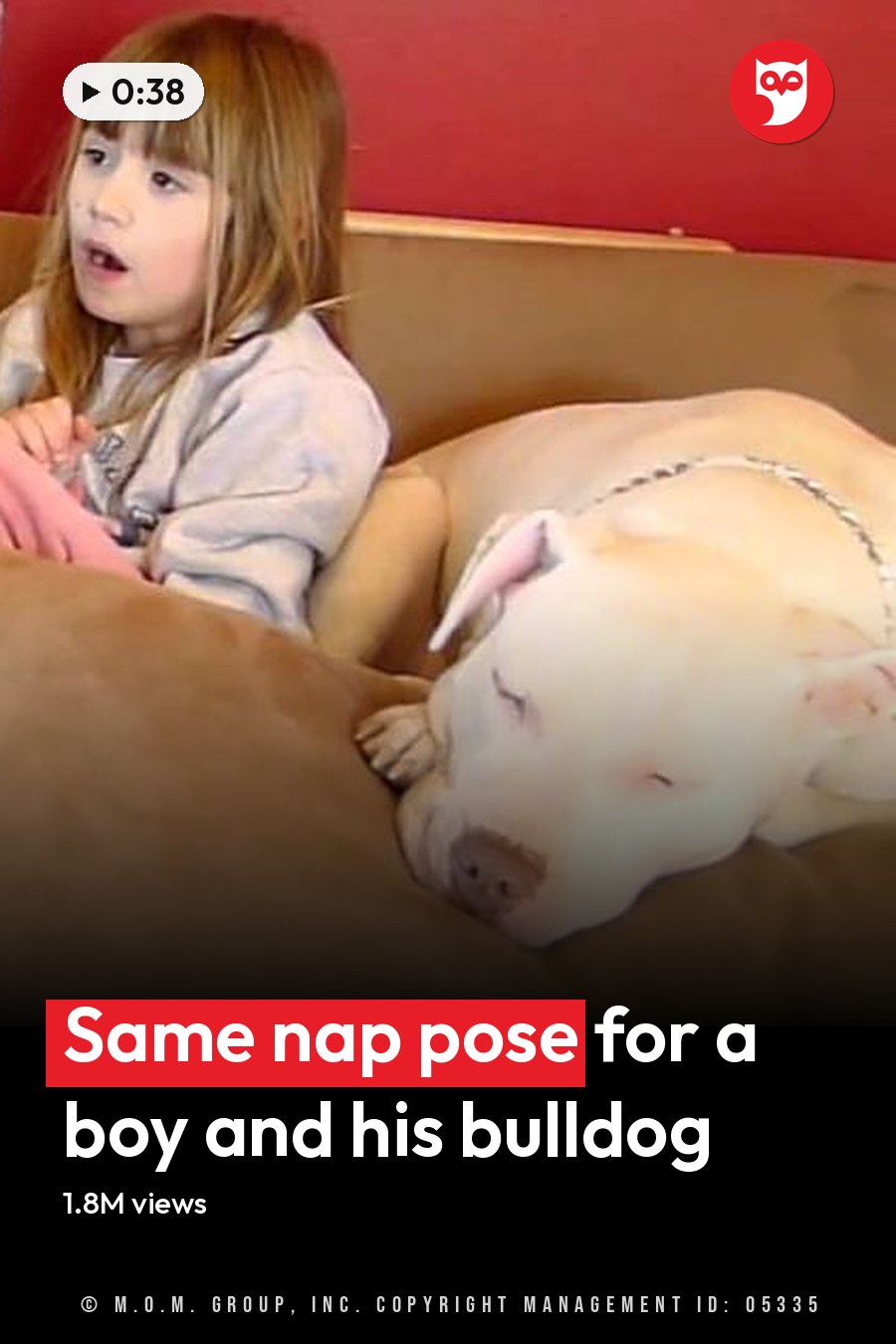 A family scene in a living room with two children and their dogs, with furniture and home decor visible. The setting includes a red wall, wooden structure, and a small toy fire truck on the floor. The headline runs in white letters across the lower third.