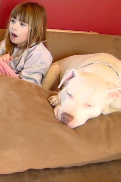 A family scene in a living room with two children and their dogs, with furniture and home decor visible. The setting includes a red wall, wooden structure, and a small toy fire truck on the floor.