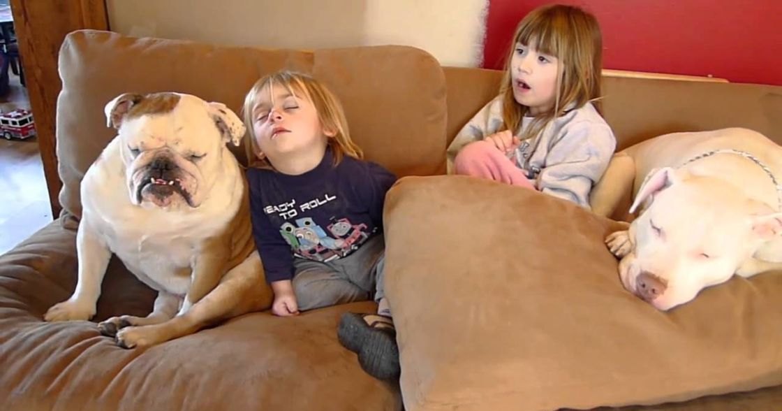 A family scene in a living room with two children and their dogs, with furniture and home decor visible. The setting includes a red wall, wooden structure, and a small toy fire truck on the floor.