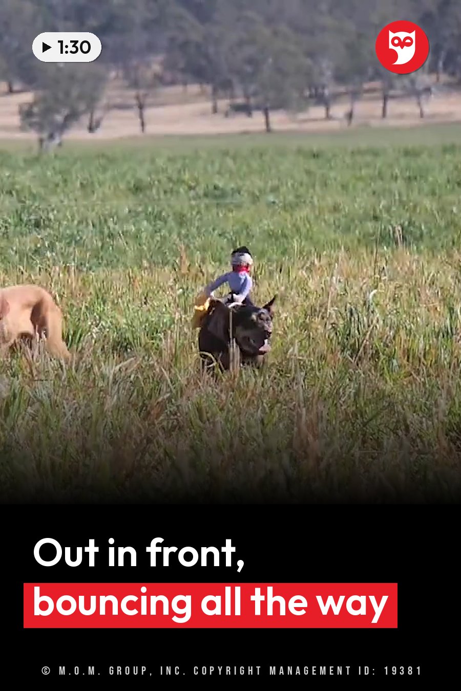 A small figure rides on a dog's back through tall grass, with trees in the background. A headline runs in white letters across the lower third.
