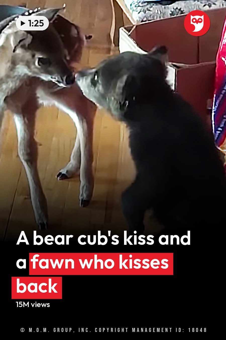 A fawn deer and a black dog in an indoor home setting, surrounded by pet food and household items. The headline runs in white letters across the lower third.