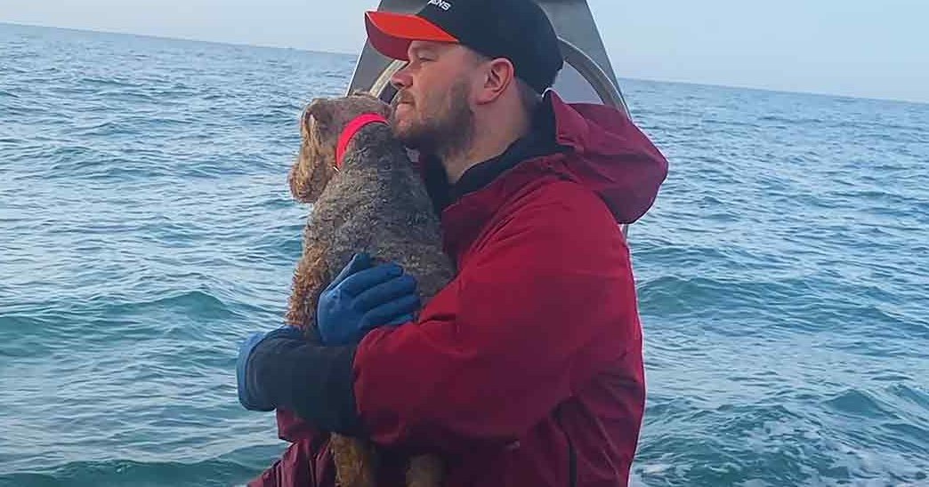 An adult male wearing a red jacket holds a small brown-and-white dog on a boat at sea during colder weather.