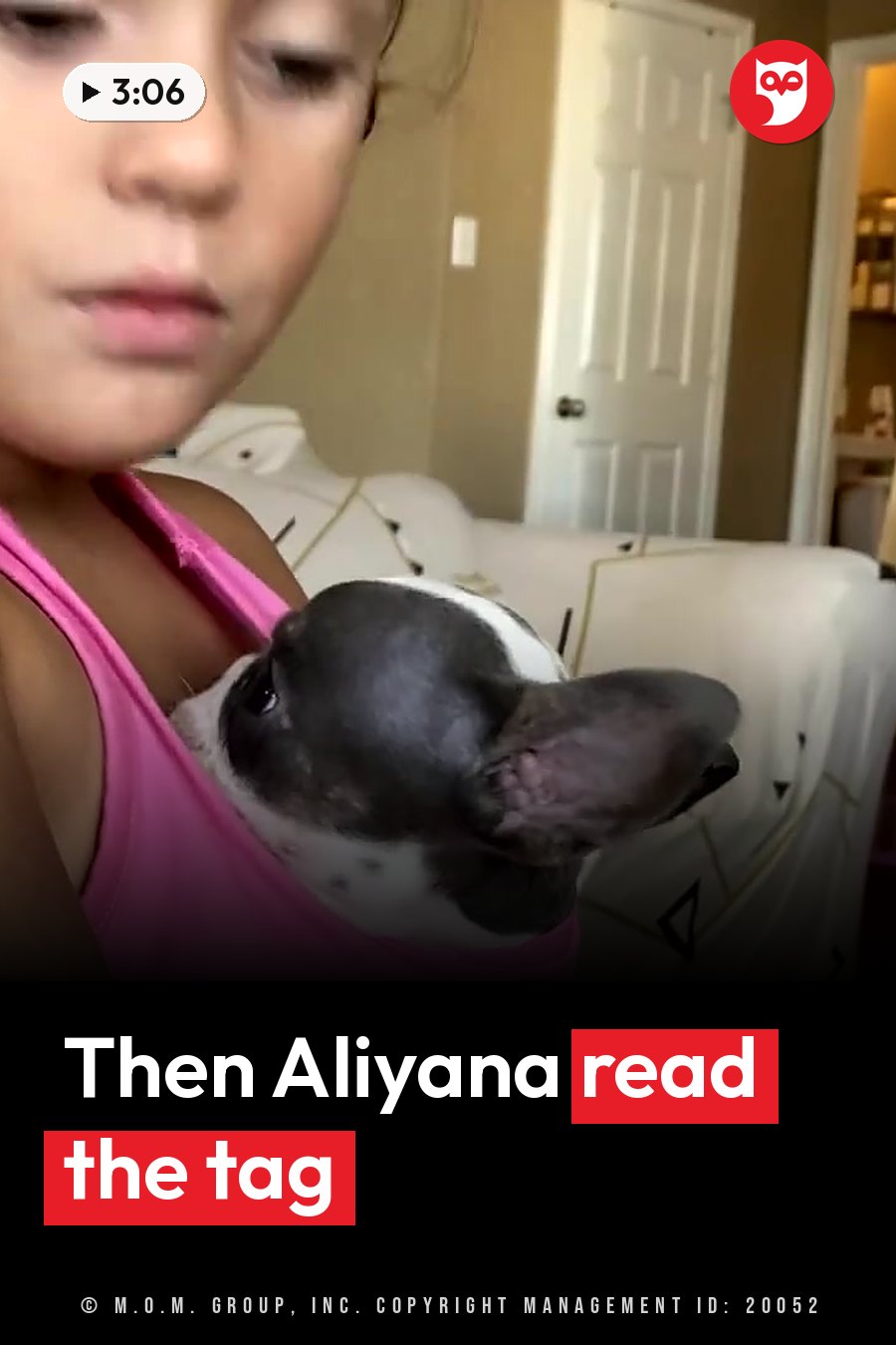 A child holds a small black-and-white dog close to her chest indoors. A headline runs in white letters across the lower third.
