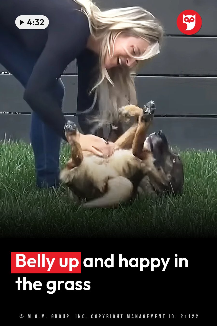 A woman laughs while playing with a dog lying on her back in the grass near a wooden fence. A headline runs in white letters across the lower third.