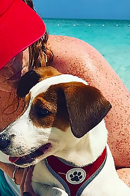 Adult female holding a beagle mix dog at a beach on a bright summer day with clear skies and red, white, and brown colors dominating the scene.