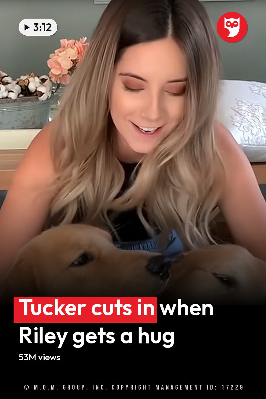 Young adult female wearing a sleeveless top and jeans, holding two golden retriever dogs indoors with wooden table and cushioned bench visible. The headline runs in white letters across the lower third.