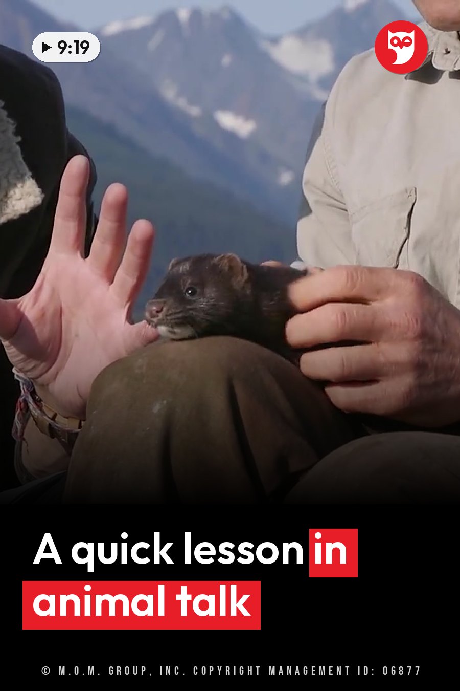 A person holds a small dark-furred animal on one knee and reaches a hand toward it, with mountains in the background. A headline runs in white letters across the lower third.