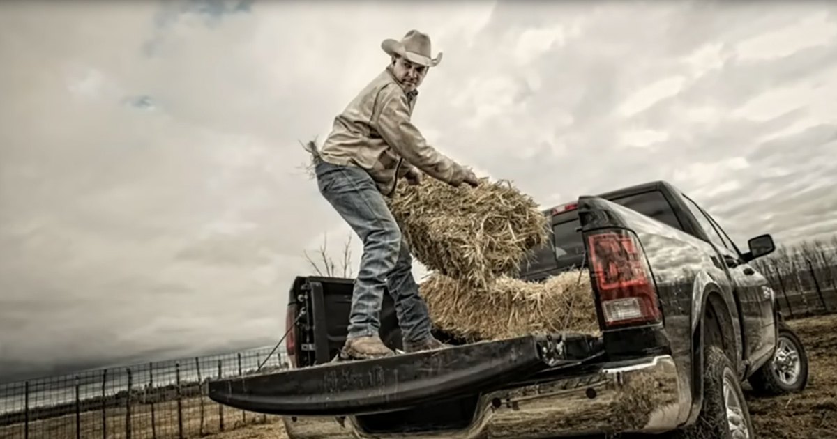 A middle-aged man in a light-colored shirt and blue jeans loads hay into a black pickup truck on an overcast day in an open field with dry grass, wire fence, and trees.