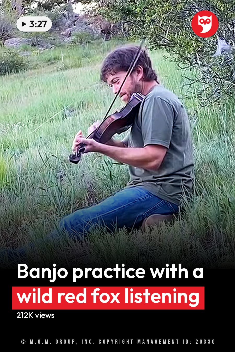 An adult male playing a violin in an outdoor natural setting with a red fox nearby, lush greenery and hills visible. The headline runs in white letters across the lower third.