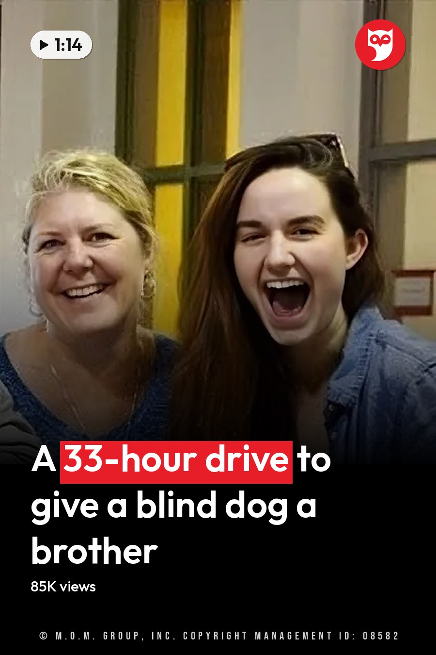 Group photo of people with two white pit bulls at an indoor animal shelter or adoption center, daytime artificial lighting. The headline runs in white letters across the lower third.