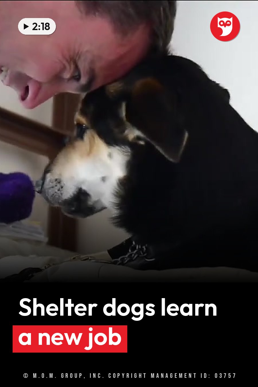 A person leans close to a black-and-tan dog in a chain collar, both facing left toward an object. A headline runs in white letters across the lower third.