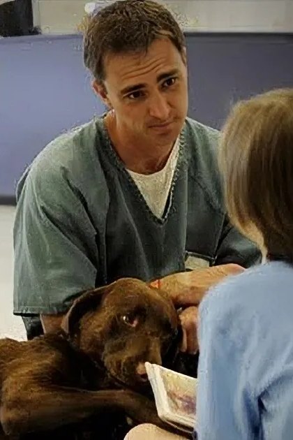 A veterinary examination scene in an indoor setting with a large Mastiff dog, medical personnel wearing scrubs, and minimal furniture.