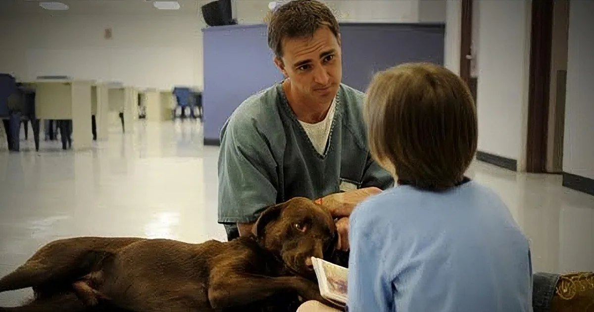 A veterinary examination scene in an indoor setting with a large Mastiff dog, medical personnel wearing scrubs, and minimal furniture.