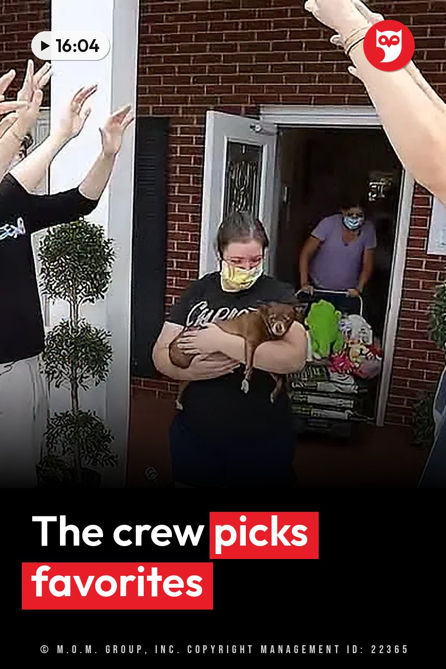 A person holds a small dog near a doorway while others raise their hands; inside, someone pushes a cart. A headline runs in white letters across the lower third.
