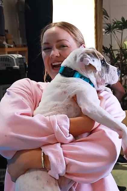An adult female holds a white and light brown English Bulldog in an indoor setting with wooden furniture, potted plants, and natural daylight.