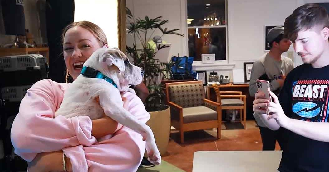 An adult female holds a white and light brown English Bulldog in an indoor setting with wooden furniture, potted plants, and natural daylight.